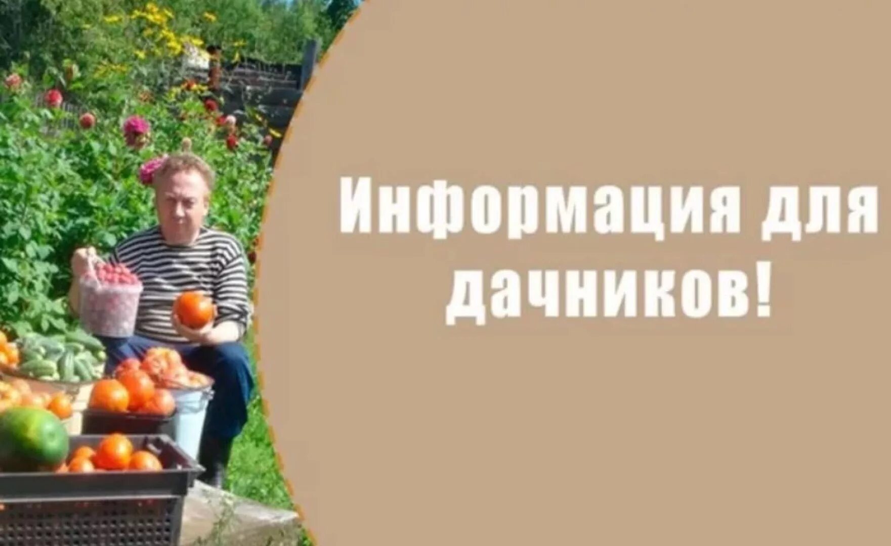 Новые правила для дачников и садоводов. Штрафы дачникам картинки. Дачные законы. Штрафы для дачников в 2024 году. Пенсионерка на даче.