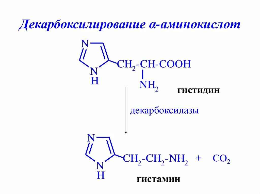 Декарбоксилирование гистидина реакция. Реакция декарбоксилирования аминокислоты гистидина. Реакция декарбоксилирования аминокислот гистамин. Схемы реакций декарбоксилирования аминокислот. Декарбоксилирование аминокислот реакция