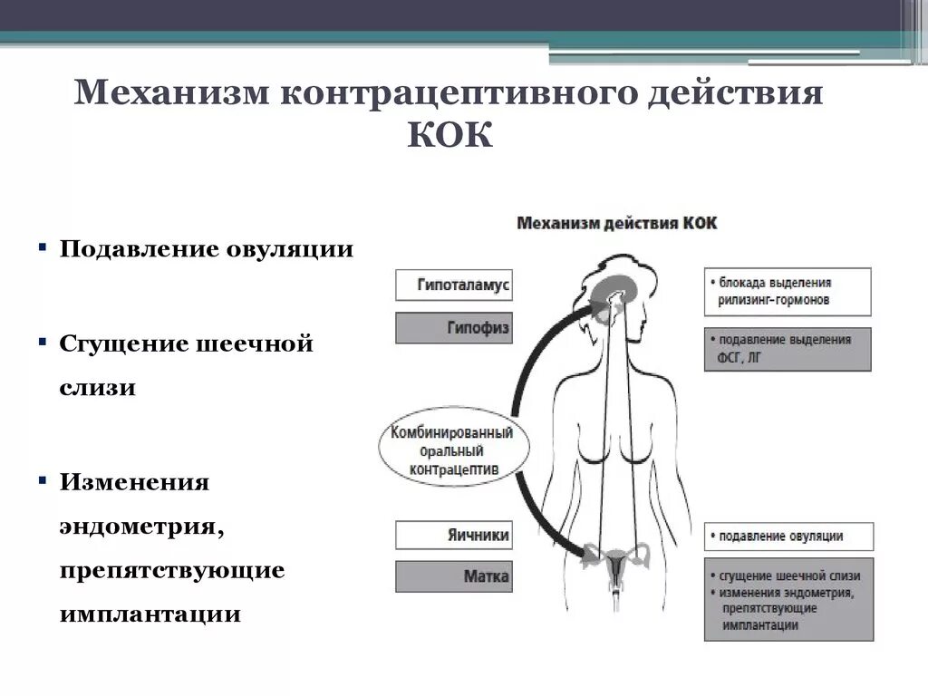 Механизм действия гормональных контрацептивов. Механизм действия комбинированных оральных контрацептивов. Гормональная контрацепция механизм действия. Комбинированные оральные контрацептивы механизм действия. Действие контрацептивов