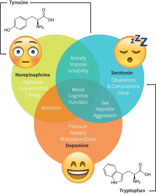 Памяти и внимания работоспособности. Преобразование серотонина для детей. Серотонин эмоция