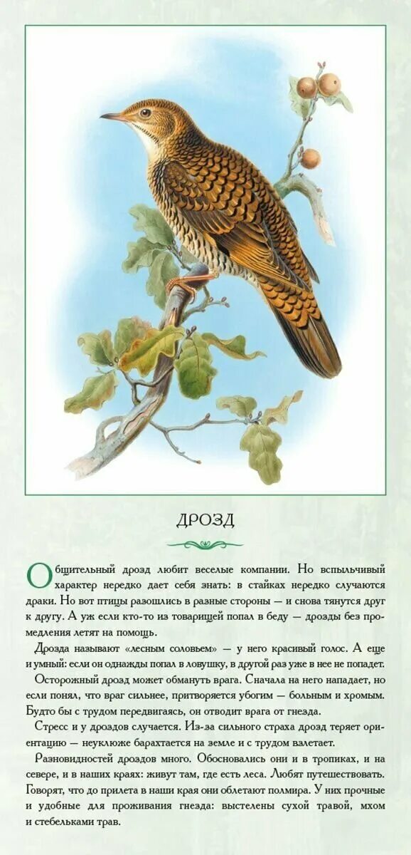 На солнце темный лес зардел в долине. Жуковский жаворонок стихотворение. Жаворонок на солнце темный лес зардел. И песню раннюю запел. 119-120 2 класс литературное чтение.
