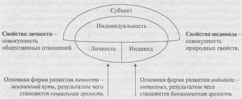 Индивид субъект личность индивидуальность. Ананьев индивид личность индивидуальность. Взаимосвязь понятий индивид индивидуальность личность. Индивид, индивидуум, субъект, личность, индивидуальность..