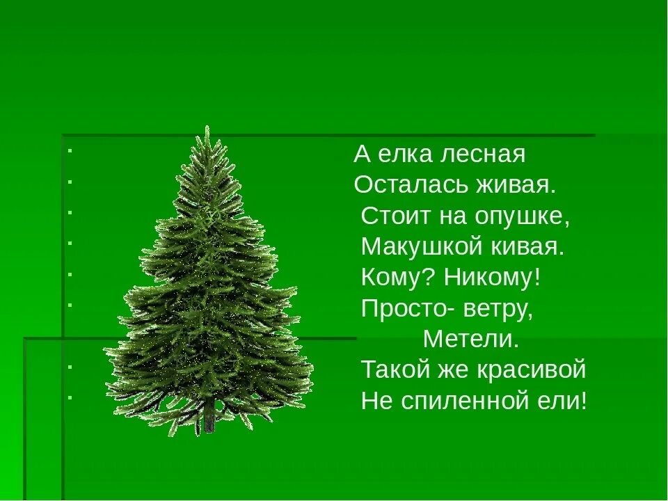 Ёлки у федеративной 1. Тема для презентации елка. Елка искусственная в интерьере с людьми. Ёлка должна стоять до весны. Новогодняя елка символизирует.