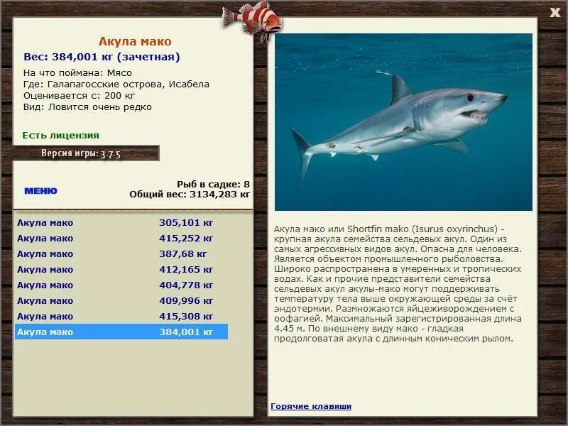 Мако акула опасна для человека