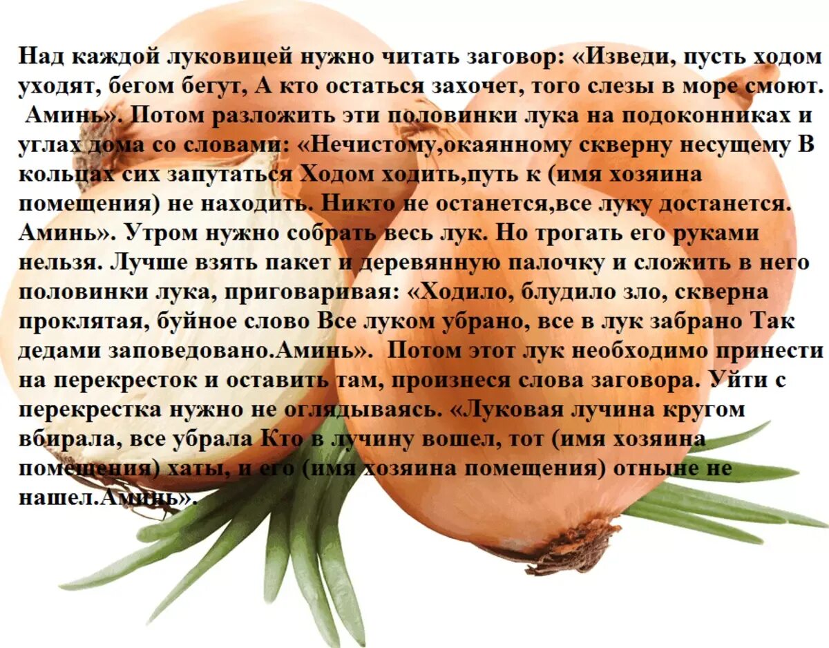 Заговор на лбу. Как снять порчу самостоятельно. Заговор на лук. Заговоры на луковицу. Как снять сглаз с себя самостоятельно в домашних условиях.