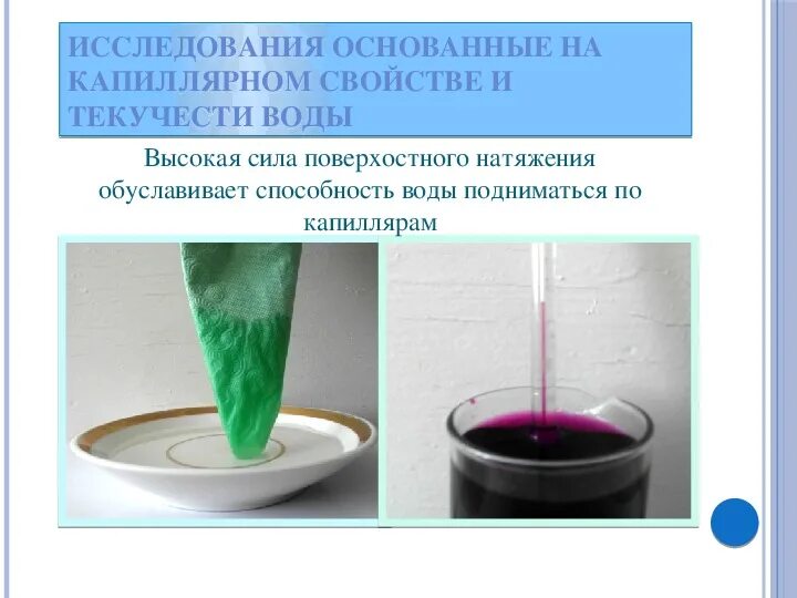 Лабораторная работа изучение капиллярные явления. Капиллярные свойства воды. исследование физических свойств воды. капиллярные явления. капиллярный эффект воды.