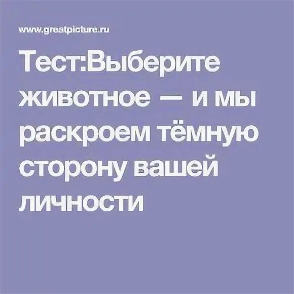 Тест выбери животного. Тест выбери животного