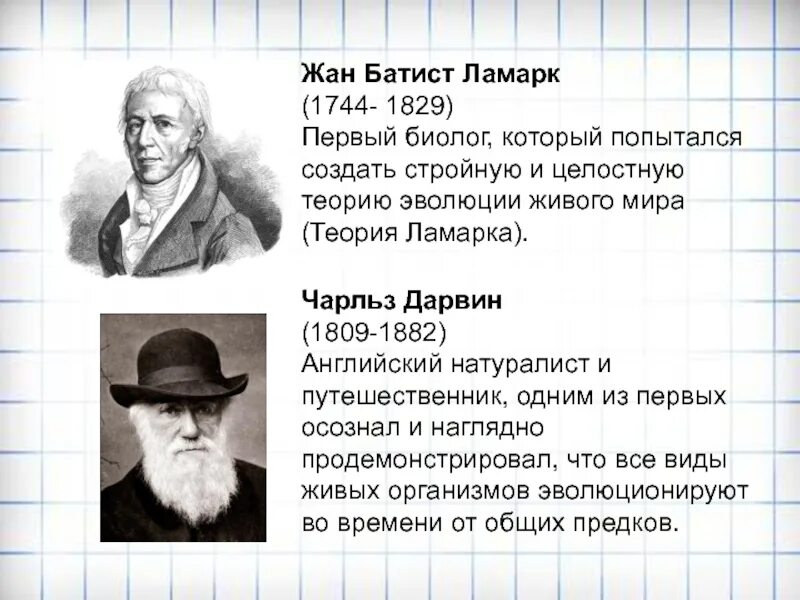 Теория эволюции Ламарка и Дарвина. Теории эволюции Линней Ламарк Дарвин. Теория Чарльза Дарвина об эволюции таблица.