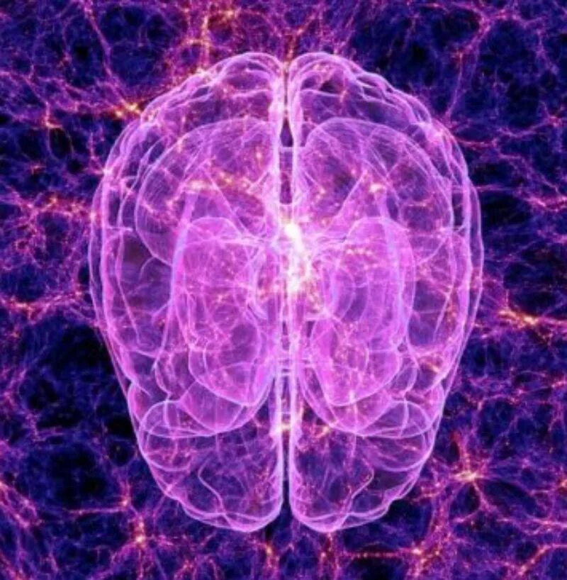 Нейроны мозга. Мозг фрактал. Нейроны головного мозга фрактал.