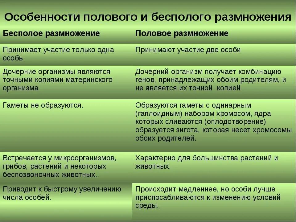 Почему при половом размножении потомства. Сравнительная характеристика полового и бесполого размножения. Типы полового размножения. Бесполое и половое размножение 10 класс. Характеристика полового размножения таблица.