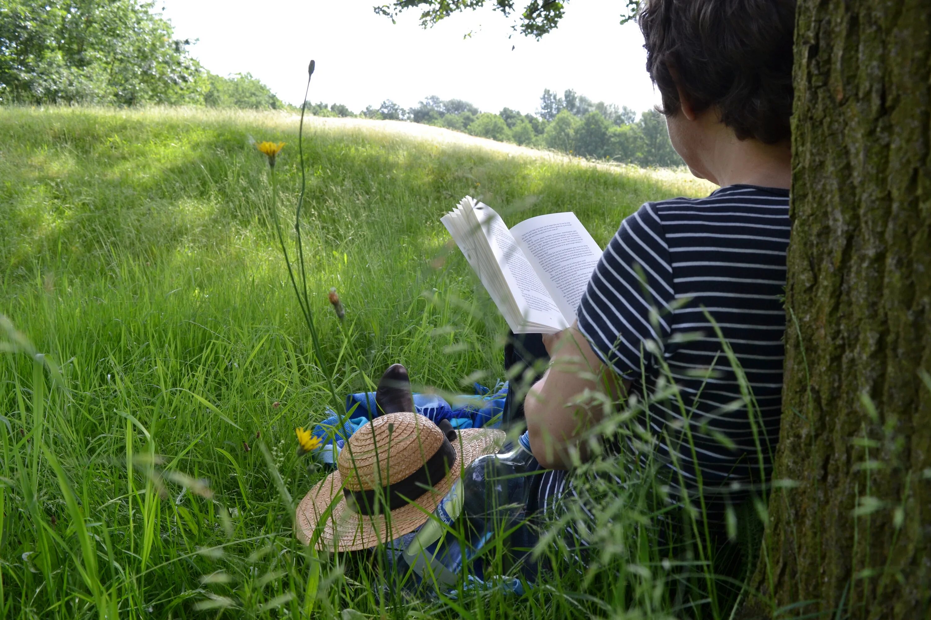 Читающее село. Книга природа. Чтение летом. Человек и природа. Чтение летом дети.