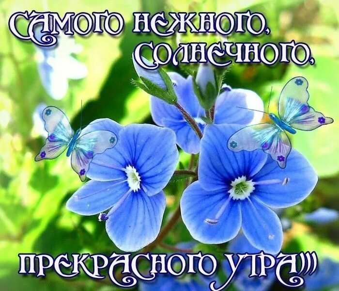 Pin di Elina *** su Открытки Хорошего настроения!