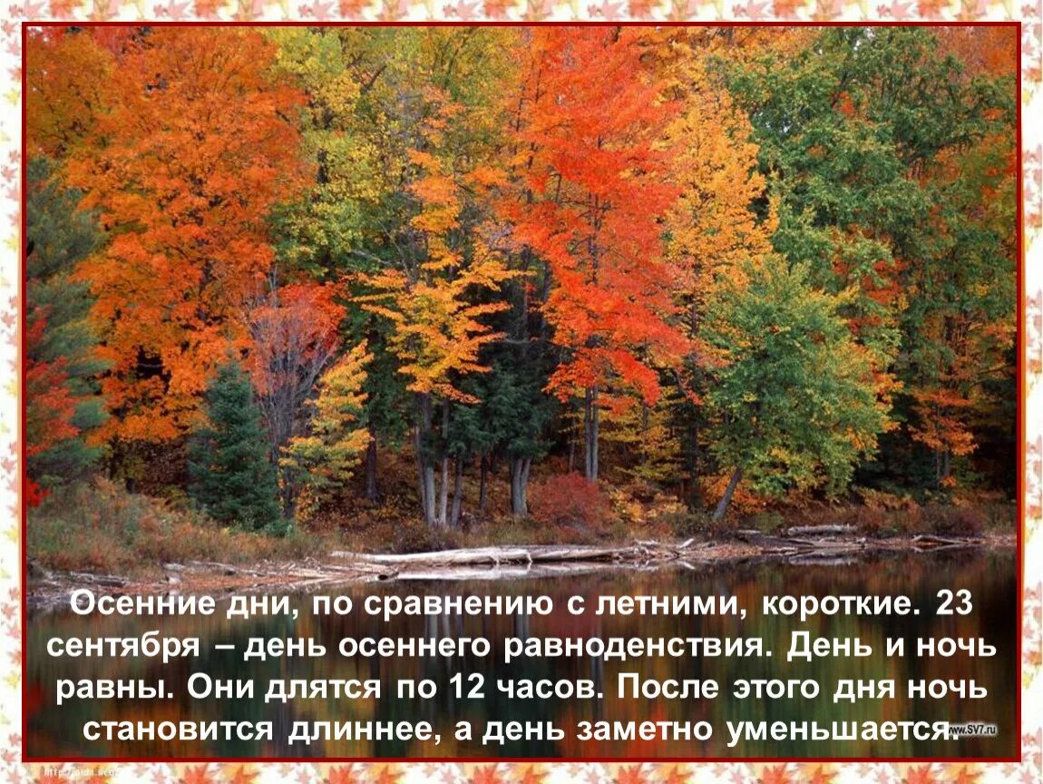 Природа осенью 2 класс. Неживая природа осенью картинки для детей. Изменения растений осенью. Осеннее равноденствие 2 класс.