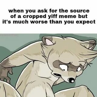 Offensive furry memes - 🧡 Pin on Stuff.