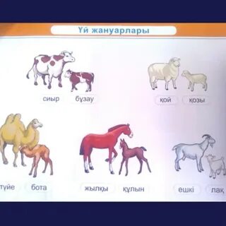 Қара адам әйелін ауыртпалықпен сиқырлады