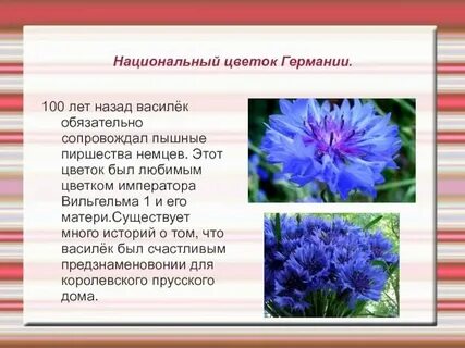 Растения и их страны