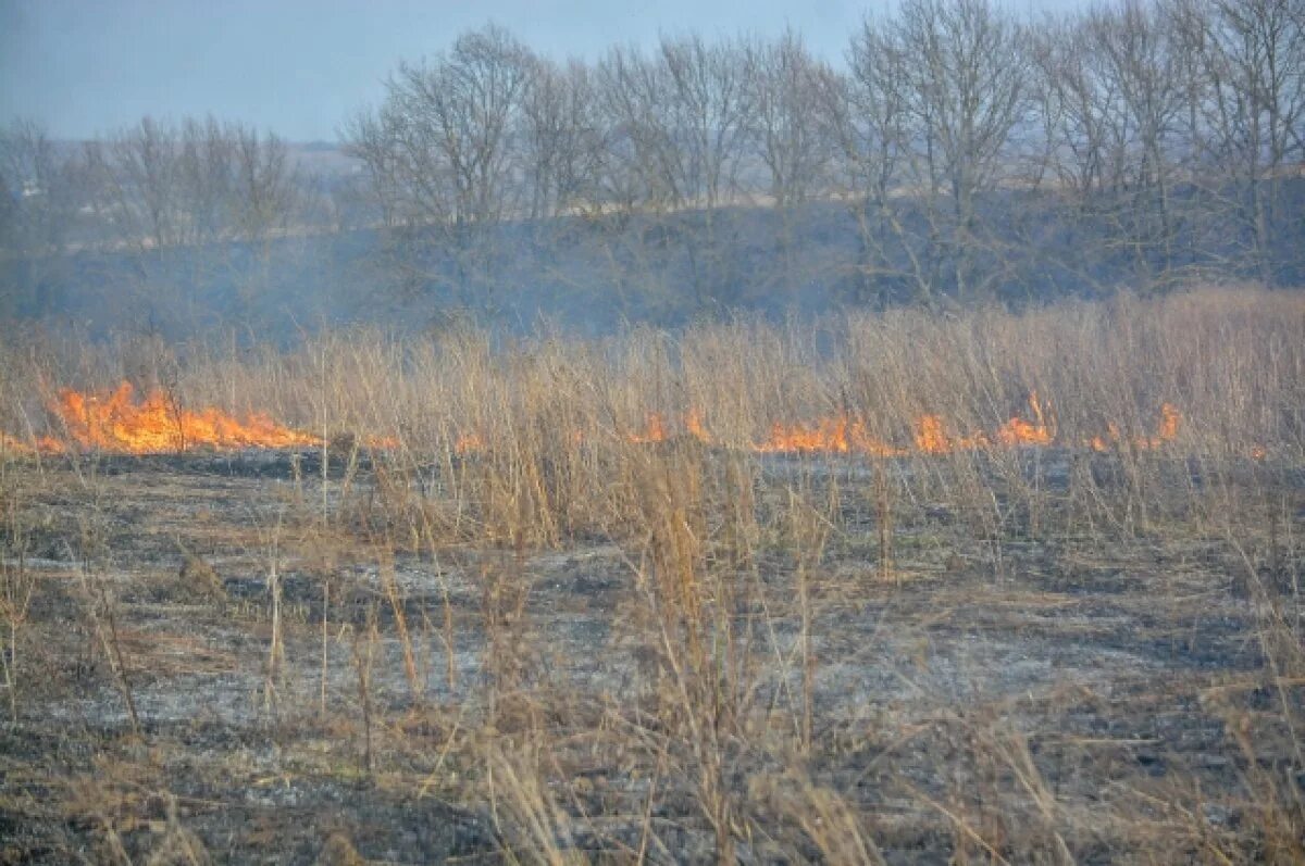 Пожароопасный период в забайкальском крае. Пожар в лесу. Пал травы. Пал сухой травы. Поджог сухой травы.