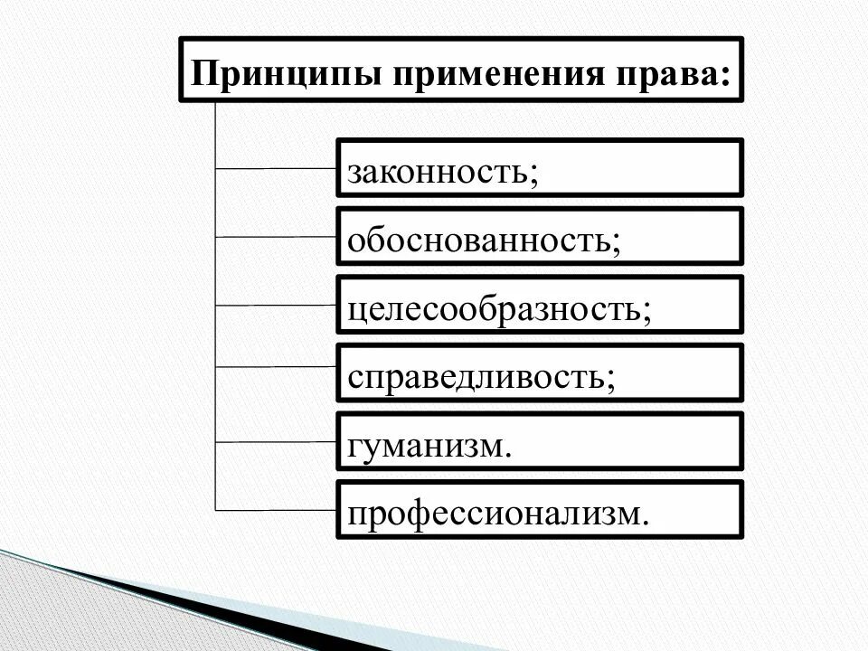 Данный принцип является в праве. Принципы реализации прав.