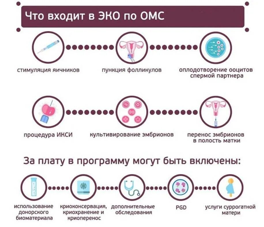 Искусственное оплодотворение этапы. Процесс эко по дням схема. Эко забеременеть. Эко по ОМС этапы процедуры.