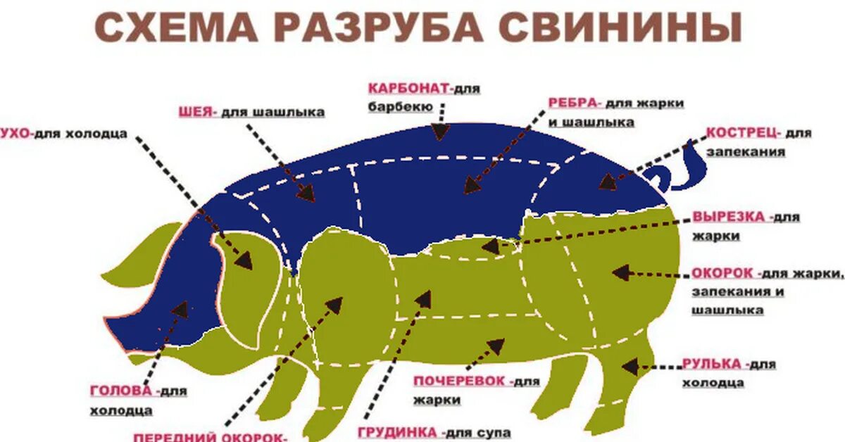 Схема разруба свинины. Классическая схема разруба свиной туши. Свинина схема. Схема разделки свиной туши. Названия частей свиньи