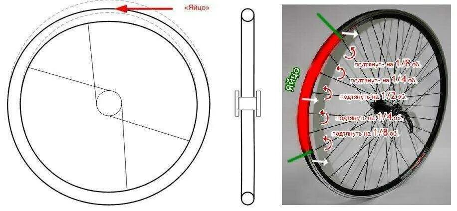 Биение колеса велосипеда. Радиальное биение велосипедного колеса. Строение обода колеса велосипеда. Устранение биения колеса велосипеда.
