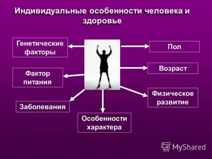 Оценка индивидуальных особенностей организма
