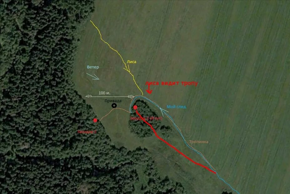 Тропу не вижу. Сквозной грот на тропе голицына. Зеленогорье арпатские водопады. Сотрудники лапландского заповедника. Что такое добрая тропа.
