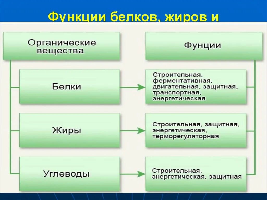 Роль органических веществ в живых организмах. Функции белков жиров и углеводов в организме таблица. Функции белков жиров и углеводов в организме человека. Функции воды жиров белков углеводов в организме человека. Белки жиры углеводы таблица функции.