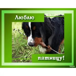 Пятница нравится