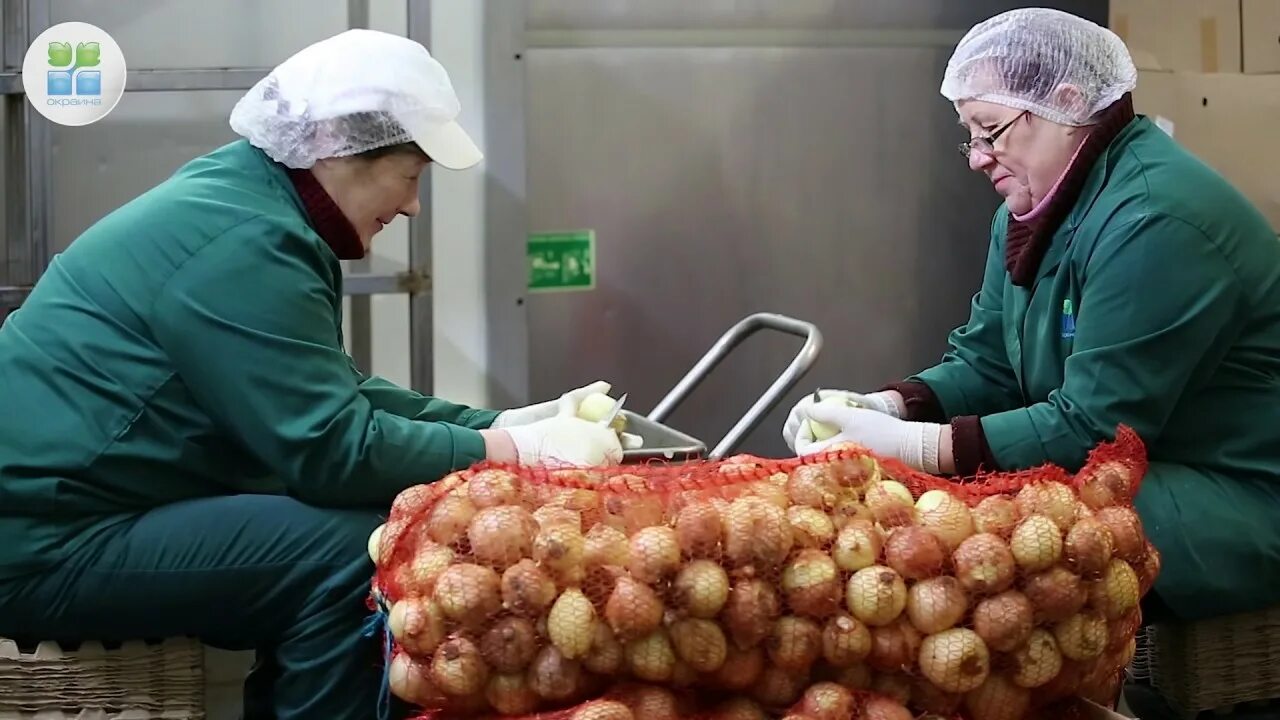 Подработка овощей. Сортировщик овощей. Сортировщик фруктов на складе. Переборщик овощей/фруктов на складе. Упаковщик овощей.