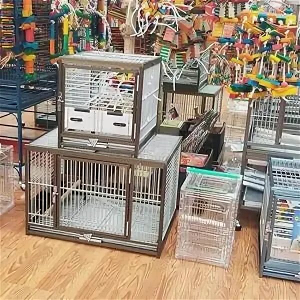 Store birds