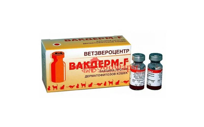 Вакдерм для кошек. Вакдерм (флак) (10 доз/уп.). вакдерм для собак. вакцина вакдерм. вакцина вакдерм для собак.