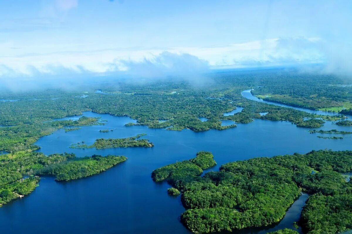 Река на юге страны. Река Амазонка в Бразилии. Бразилия крупные реки Амазонка. Река Амазонка в Колумбии. Амазонская Сельва Бразилии.