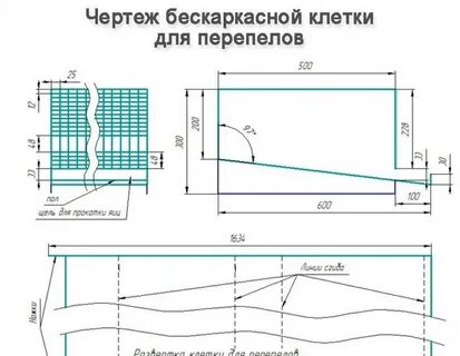 Клетка для перепелов чертеж фото