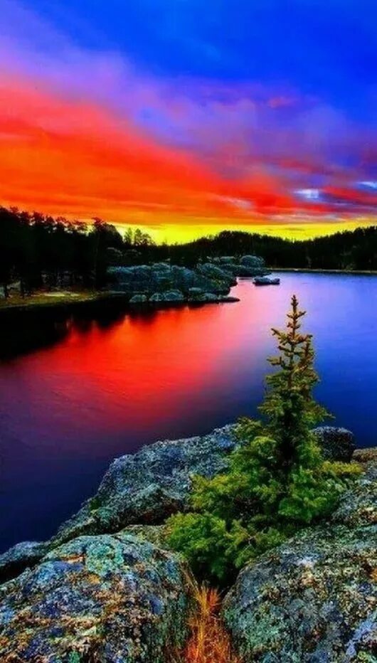Краски природы. Картинки красочные природа. Красота природы. Картинки красочные природа. Яркие краски.