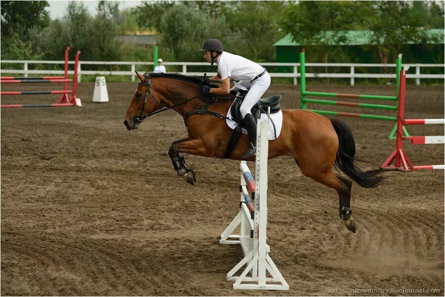 Кск анализ. КСК Аргамак Петергоф. Конный спорт соревнования конкур.