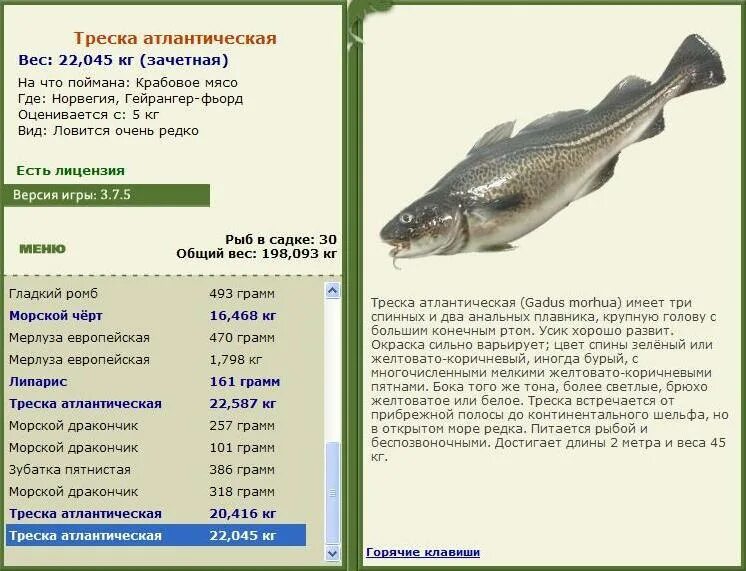 реальная рыбалка керченская сельдь