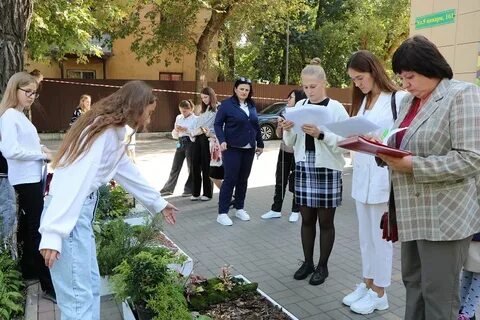 Жюри приняло или приняли