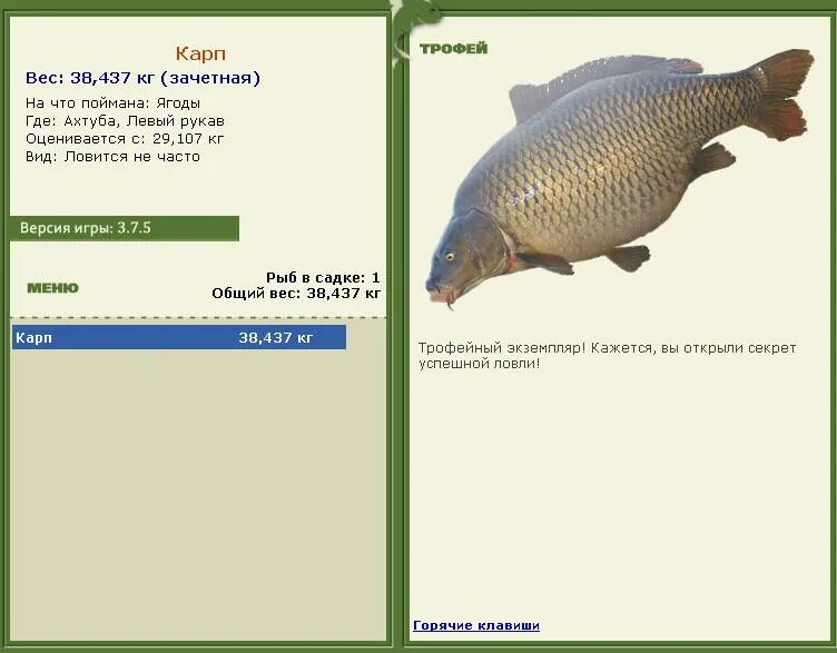 Часто ловлю на. Русская рыбалка 3.6 трофеи. Русская рыбалка 3 7 4 озеро Карп кои. Русская рыбалка 3 карпы. Карп трофейный русская рыбалка.