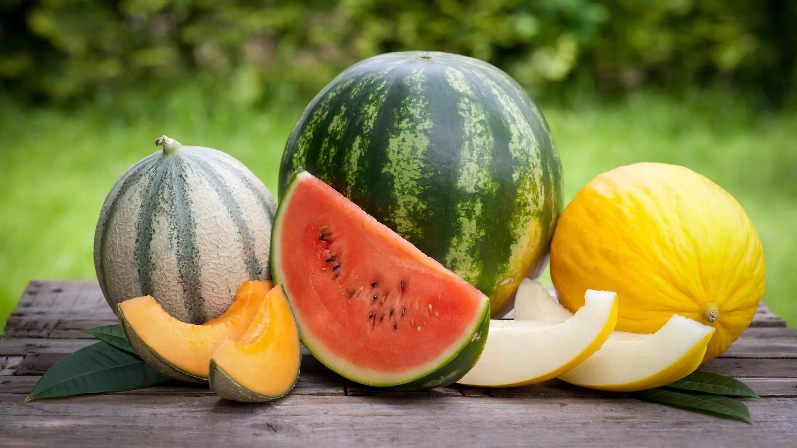 Melon save