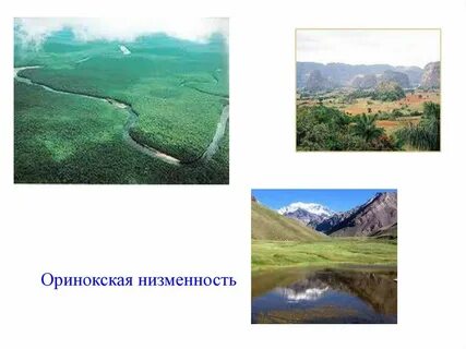 Форма рельефа ла платской низменности