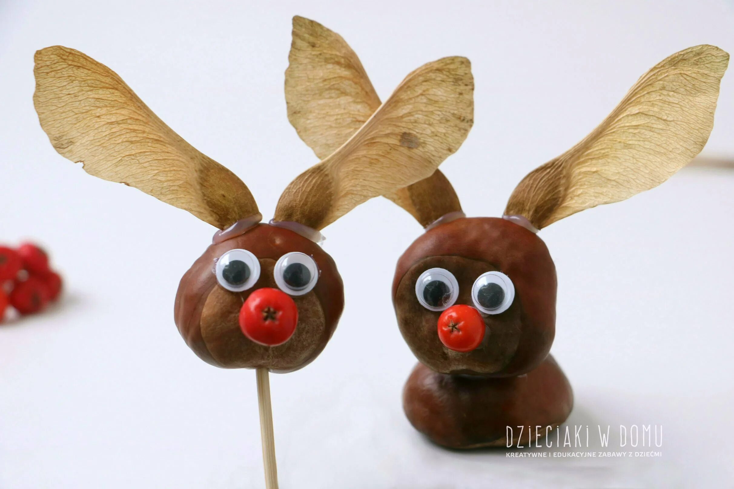 композиции из шишек и желудей. поделки из каштанов и шишек. поделки из каштанов своими руками. гусеница из каштанов. из.