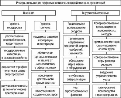 Эффективность производства животноводства