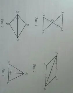Геометрия 41