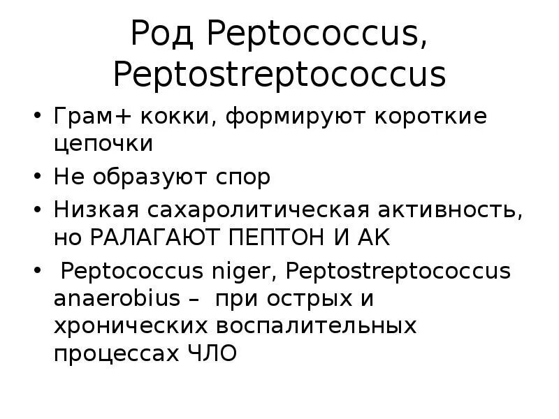 Peptostreptococcus spp