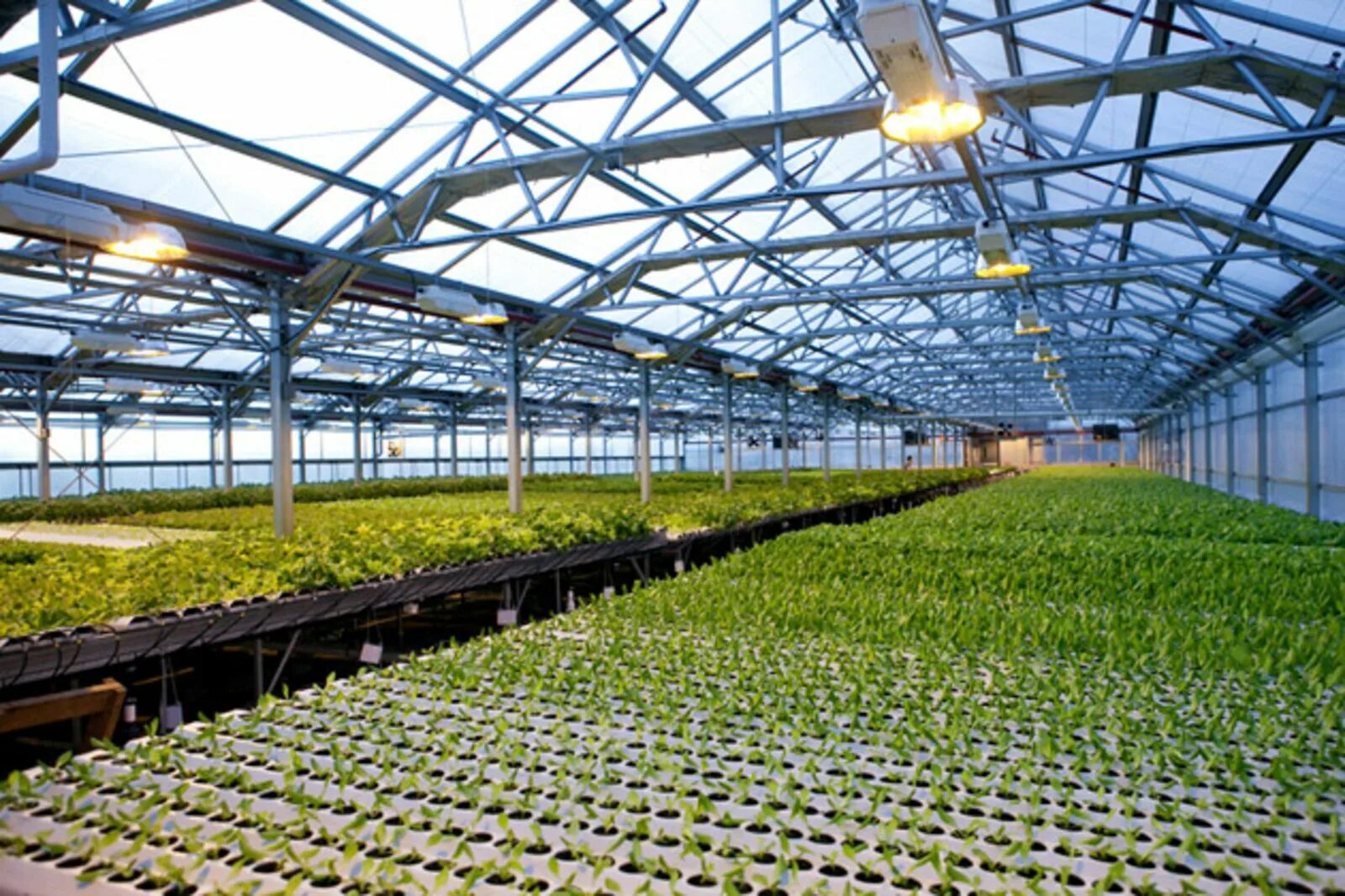 Урбан фарминг. Modern Greenhouse гидропоника. Urban Farming (городское сельское хозяйство). Многоярусная теплица суперклиматрон.