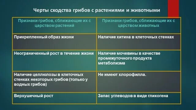 Сходством грибов с растениями является. Различие грибов от растений и животных. Отличие грибов от растений таблица. Сравнение грибов с растениями и животными таблица. Различия грибов с растениями и животными таблица.