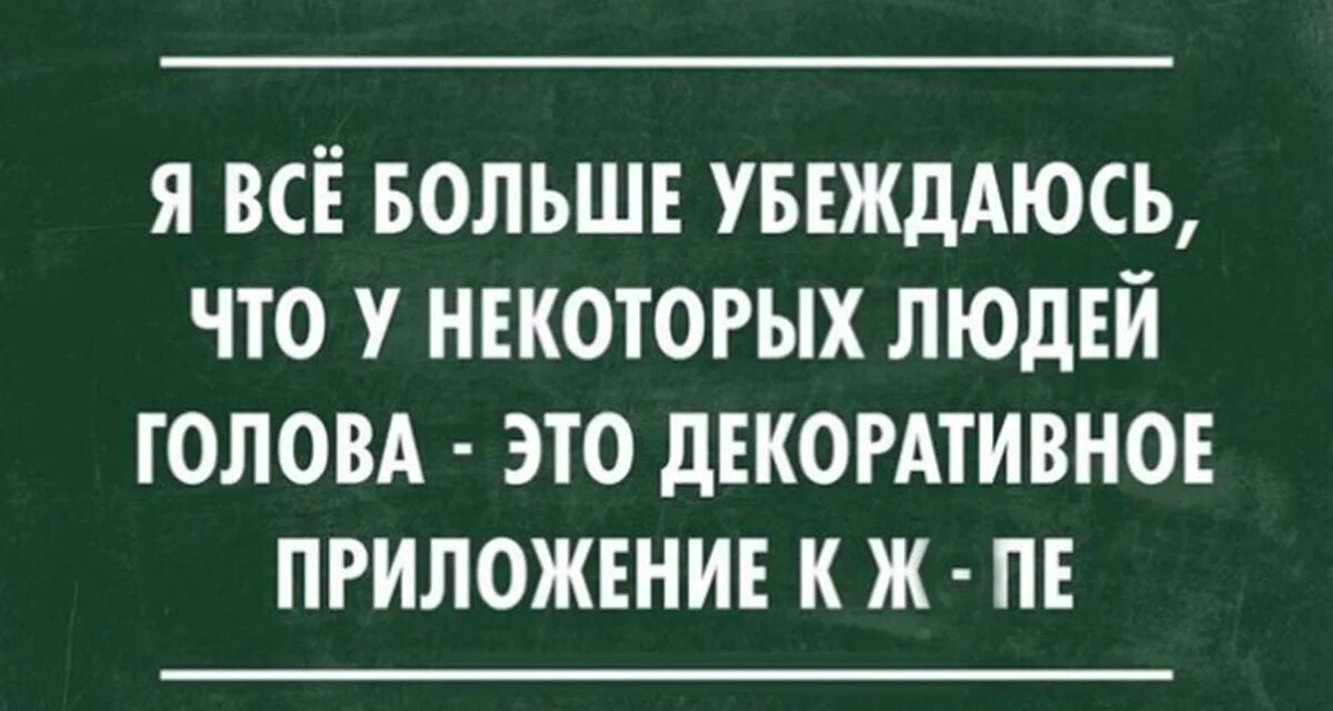 И голова без мозгов. Фразы про тупых людей. Цитаты про глупых людей. Высказывания про неадекватных людей. Статусы про глупых людей.