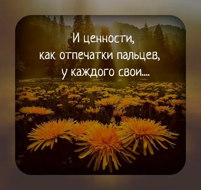 Жизнь как ценность в философии. Жизнь как ценность в философии