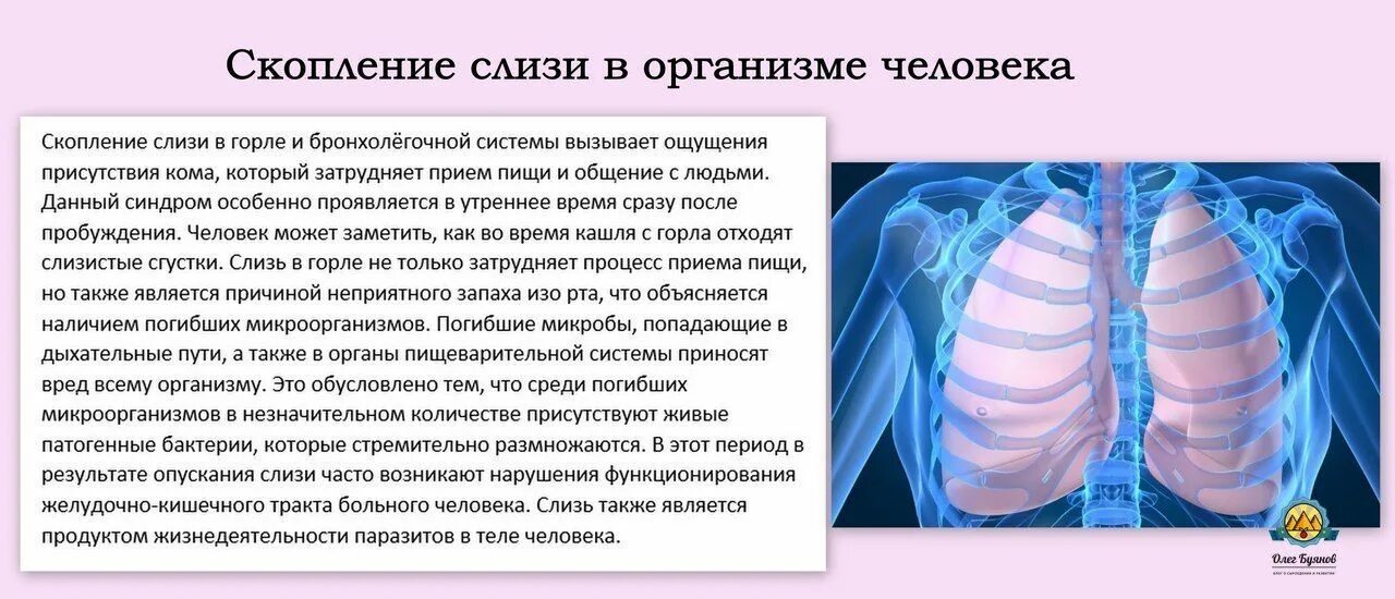 Как вывести слизь из организма. От чего слизь в организме человека. Питание слизь